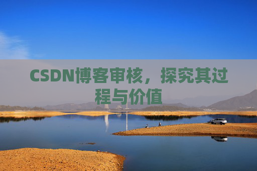 CSDN博客审核，探究其过程与价值